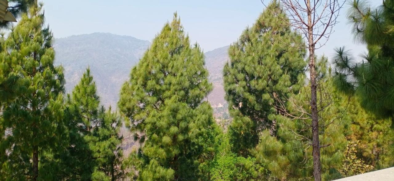 Blue Pine Orchards - Villas Лансдаун Екстер'єр фото